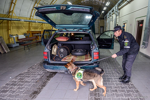 Въехать на четырех колесах и уйти на своих двоих