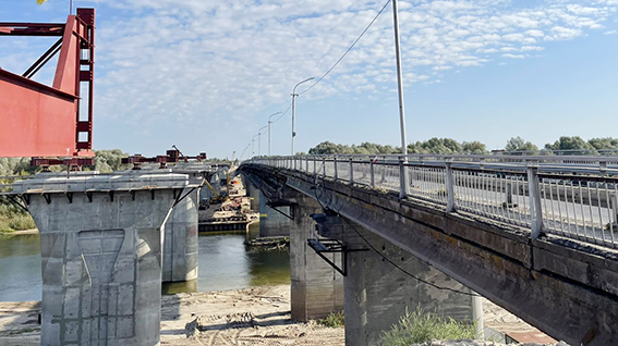 Из Ветки в Гомель